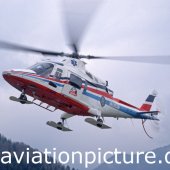 ROD19960258